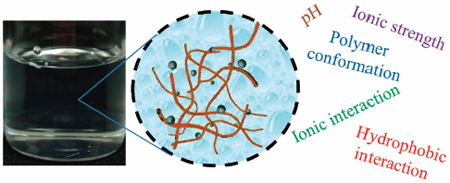 graphical abstract